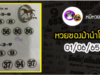 หวยซอง ม้านำโชค 01/06/65