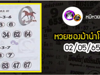 หวยซอง ม้านำโชค 02/05/65