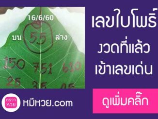 เลขจากใบโพธิ์16/6/2560 เข้าเลขเด่น