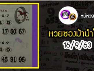 หวยซอง ม้านำโชค 16/9/63