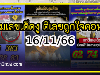 รวมเลขเด็ดงู งวด 16/11/66 คอหวยเล็งเลื้อยมาให้โชค