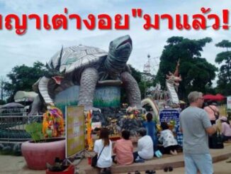 เลขพญาเต่างอย 16 ธันวาคม 2559 – เลขเด็ดงวดนี้