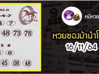 หวยซอง ม้านำโชค 16/11/64