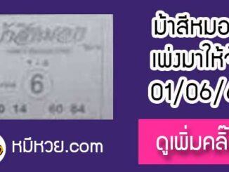 ม้าสีหมอก 1/6/61 หวยเด็ดงวดนี้