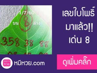 เลขใบโพธิ์1/7/60