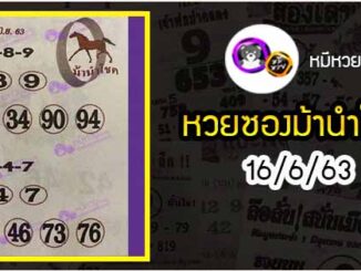 หวยซอง ม้านำโชค 16/6/63