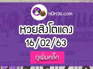 หวยซอง สิงโตแดง 16/02/63