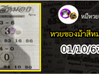 เลขเด็ดงวดนี้ม้าสีหมอก 01/10/67