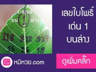 เลขใบโพธิ์1/8/60 บนล่าง