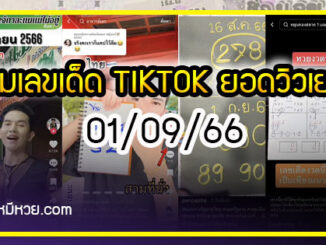 รวมเลขเด็ด TIKTOK ยอดวิวเยอะ 01/09/66 งวดนี้มาส่องต่อ