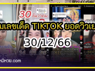 รวมเลขเด็ด TIKTOK ยอดวิวเยอะ 30/12/66 งวดนี้มาส่องต่อ