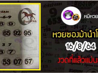 หวยซอง ม้านำโชค 16/8/64