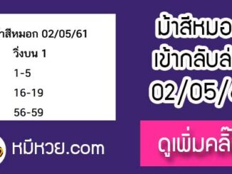 ม้าสีหมอก 2/5/61 หวยเด็ดงวดนี้