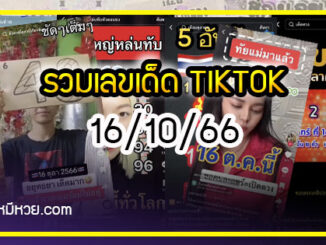 รวมเลขเด็ด TIKTOK ยอดวิวเยอะ 16/10/66 งวดนี้มาส่องต่อ