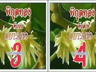 เลขดับพิกุลทอง1/12/2559 – เลขดับงวดนี้