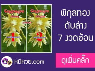 เลขดับพิกุลทอง 1/9/60 โคตรแม่น