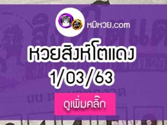 หวยซอง สิงโตแดง 1/03/63