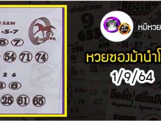 หวยซอง ม้านำโชค 1/9/64