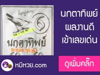 หวยซองนกตาทิพย์1/9/60 เข้าเลขเด่น