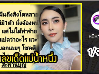 เลขเด็ดดาราสาว ใหม่ สุคนธวา 1/9/63  ความฝันแม่นถูกหลายงวดแล้ว