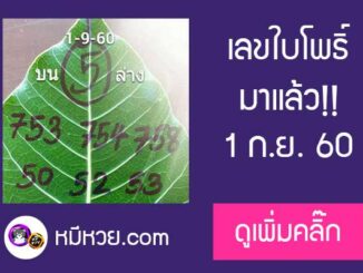 เลขใบโพธิ์1/9/60