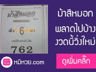 ม้าสีหมอก16/6/2560 ซองดังตามกันไหม!!