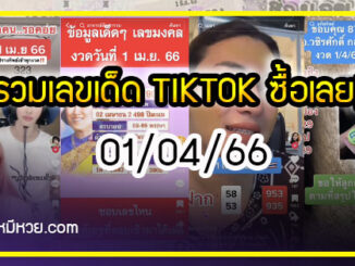 รวมเลขเด็ด TIKTOK ยอดวิวเยอะ 01/04/66 งวดนี้มาส่องต่อ