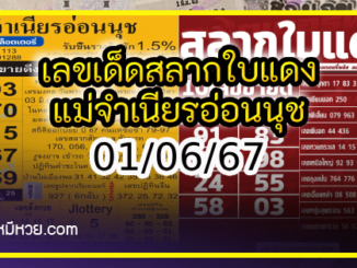 เลขเด็ดสลากใบแดง-แม่จำเนียรอ่อนนุช 01/06/67 [สิบเลขเด็ดขายดี]