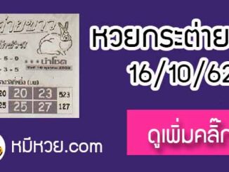 หวยซอง กระต่ายขาว 16/10/62