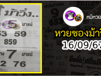 หวยซองม้าวิ่ง 16/09/67 เลขเด็ดงวดนี้