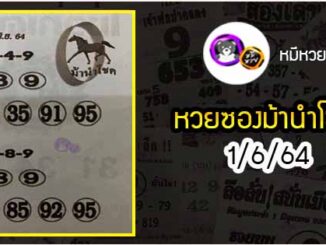 หวยซอง ม้านำโชค 1/6/64