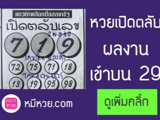 หวยซองเปิดตลับ2/5/2560 – เข้า 2 ตัวบน