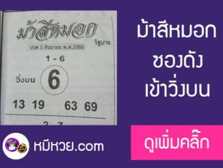 ม้าสีหมอก 1/9/60 เข้าวิ่งบน