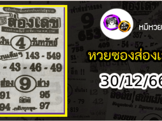 หวยซองส่องเลข 30/12/66