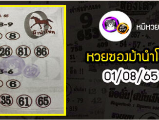 หวยซอง ม้านำโชค 01/08/65