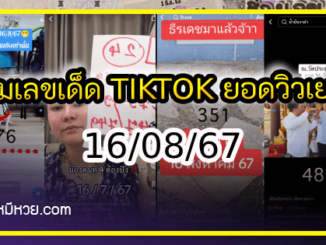 รวมเลขเด็ด TIKTOK ยอดวิวเยอะ 16/08/67 งวดนี้มาส่องต่อ