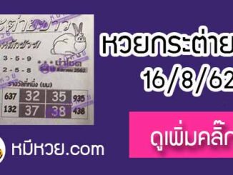 หวยซอง กระต่ายขาว 16/8/62