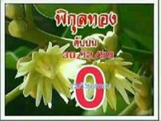 เลขดับพิกุลทอง30/12/2559 – เลขดับงวดนี้