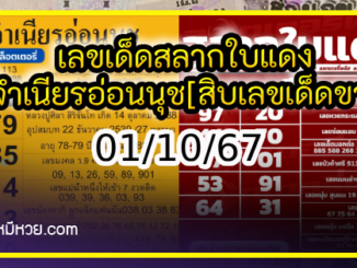 เลขเด็ดสลากใบแดง-แม่จำเนียรอ่อนนุช 01/10/67 [สิบเลขเด็ดขายดี]