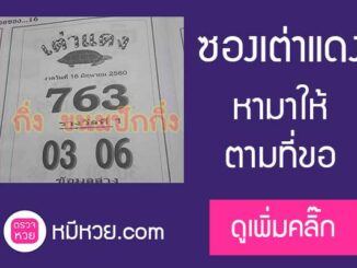 หวยซองเต่าแดง16/6/2560 จัดให้ตามคำขอ