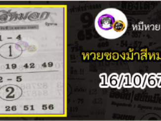 เลขเด็ดงวดนี้ม้าสีหมอก 16/10/67