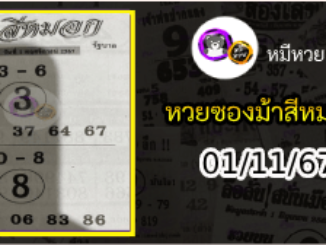 เลขเด็ดงวดนี้ม้าสีหมอก 01/11/67