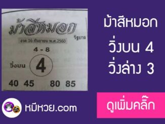 ม้าสีหมอก 16/9/60