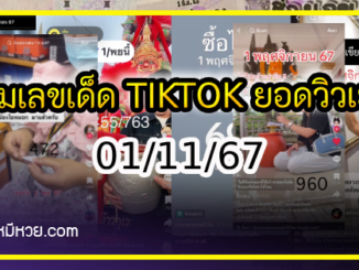 รวมเลขเด็ด TIKTOK ยอดวิวเยอะ 01/11/67 งวดนี้มาส่องต่อ