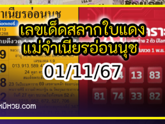 เลขเด็ดสลากใบแดง-แม่จำเนียรอ่อนนุช 01/11/67 [สิบเลขเด็ดขายดี]