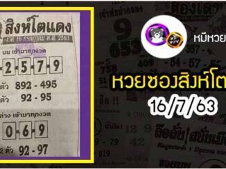 หวยซอง สิงโตแดง 16/7/63