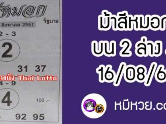 ม้าสีหมอก 16/8/61 หวยเด็ดงวดนี้