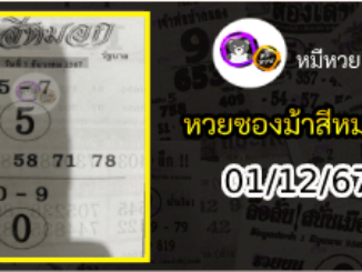 เลขเด็ดงวดนี้ม้าสีหมอก 01/12/67