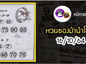 หวยซอง ม้านำโชค 16/10/64