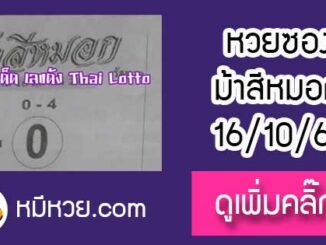 เลขเด็ดงวดนี้ม้าสีหมอก 16/10/61